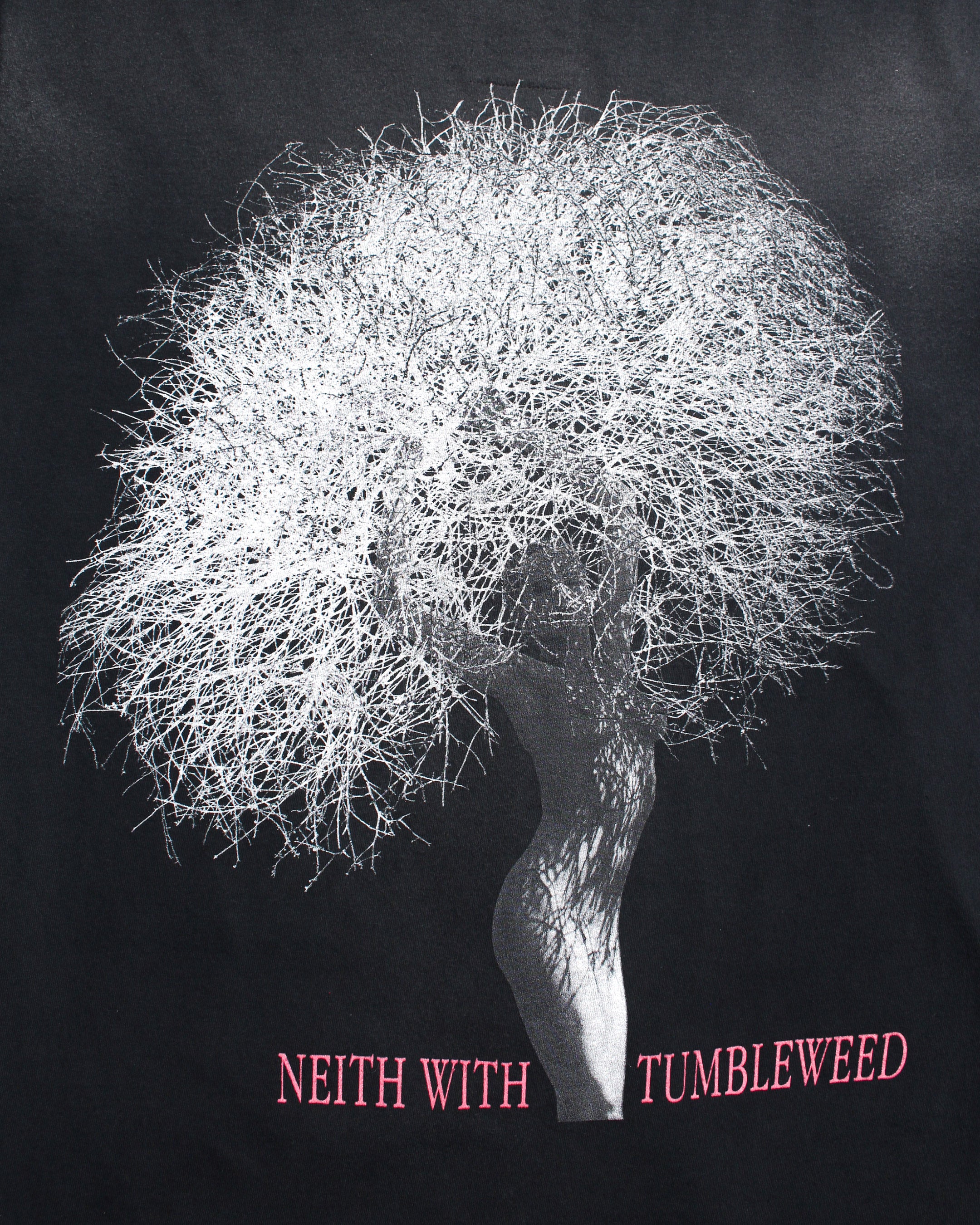 BOW WOW / HERB RITTS COLLECTION】NEITH WITH TUMBLEWEED LS – C30 ...